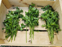 Charger l'image dans la galerie, Panier de la semaine