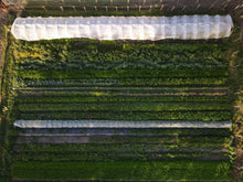 Charger l'image dans la galerie, Panier de la semaine