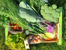 Charger l'image dans la galerie, Panier de la semaine