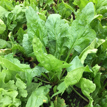 Charger l'image dans la galerie, Panier de la semaine